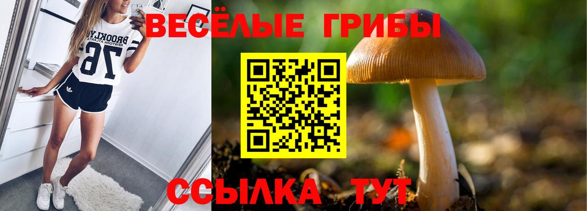 Галлюциногенные грибы Magic Shrooms  наркотики  Южно-Сахалинск  Вход с VPN  Галлюциногенные грибы мухоморы 